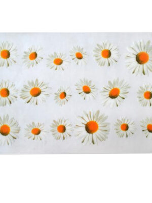 Plastové prestieranie TORO 28x43cm kvety Možnosť: SUNSHINE
