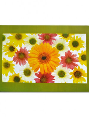 Plastové prestieranie TORO 28x43cm kvety MIX motívov Možnosť: SUNSHINE