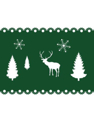 Plstené vianočné prestieranie TORO 40x25cm