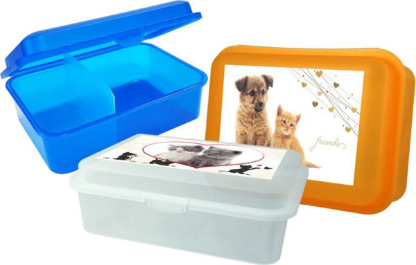 Plastový desiatový box s prepážkou MIX maznáčikovia 18x13x7cm