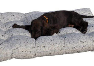 AXIN MATRACE POD PSA 120X80 CM
