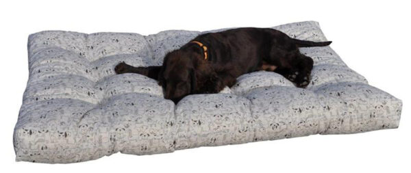 AXIN MATRACE POD PSA 120X80 CM