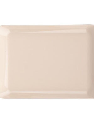 Petra plast Plastový servírovací podnos 19x13cm MIX farieb