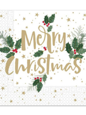 PROCOS Vianočné papierové obrúsky 33x33cm 3vrstvové merry christmas