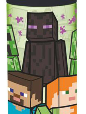 STOR Fľaša na pitie ECOZEN Minecraft 540ml