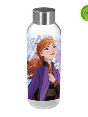 Disney Fľaša na pitie ECOZEN Ľadové kráľovstvo II 660 ml