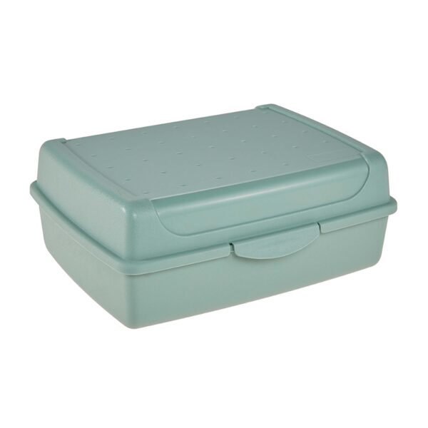 Keeeper BOX NA OBED 30X20X8